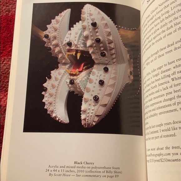 🔴Whitefish review book🔴 - Picture 9 of 11